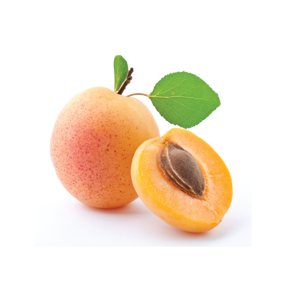 Apricot