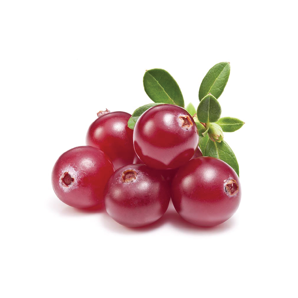 Cranberry